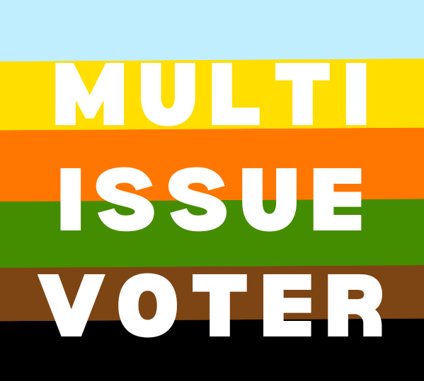 Multi-issue voter 600px